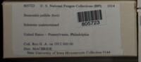 Image Associated With the Occurence
